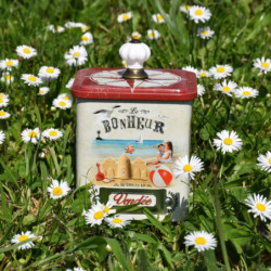 Boîte demi collector caramels au beurre salé et à la fleur de sel de Vendée