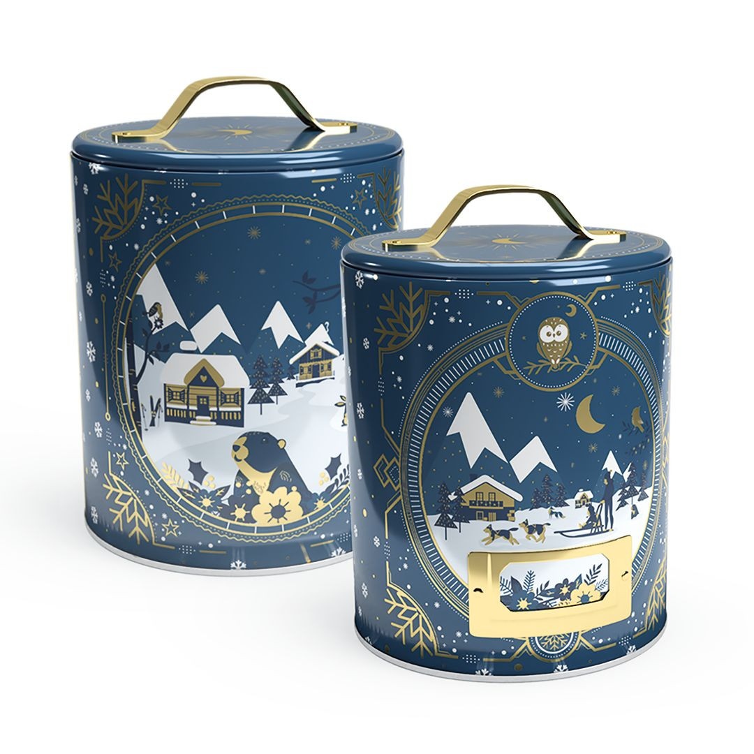 Achat Boîte Chouette nuit d'hiver mini cookies en ligne 1 