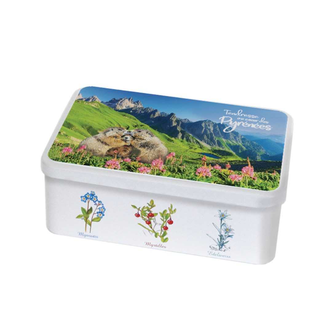 Achat Boîte sucre tendresse des pyrénées assortiment palets et galettes en ligne 1 