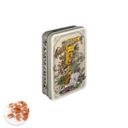 Boite pastille Nantes Grue Titan Jaune Geoffrey Berniolle caramel au beurre salé et à la fleur de sel de Guérande55g