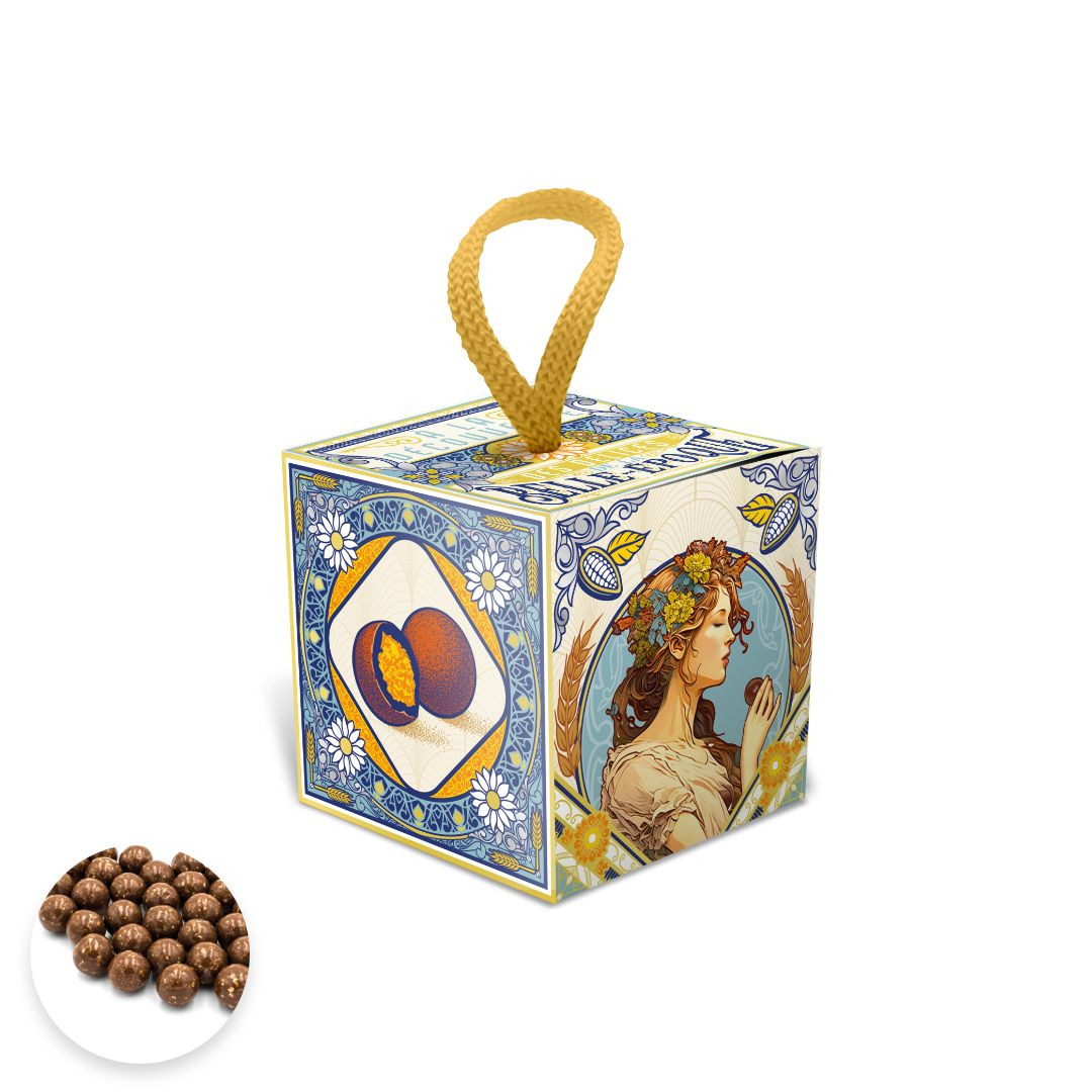 Achat Cube carton billes croustillantes chocolat au lait et crêpe dentelle Les délices de la belle époque en ligne 1 