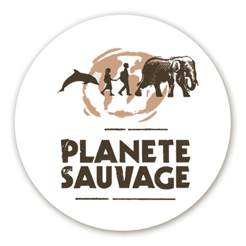 logo-client